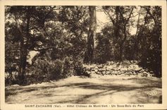 CPA Saint Zacharie Var Hotel Chateau de Mont Vert Un Sous Bois du Parc 