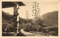 CPA Ile de Port Cros Var Une baie essentiellement feminine par la grace de sa ligne inflechie 