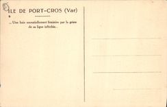 CPA Ile de Port Cros Var Une baie essentiellement feminine par la grace de sa ligne inflechie 