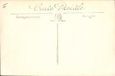 CPA Saint Raphael Le Lion de Mer 