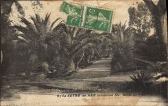 CPA La Seyne sur Mer Institution Ste Marie le Parc 