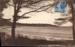 CPA Ile de Porquerolles 