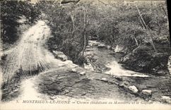 CPA Montrieux le Jeune Chemin conduisant au Monastere et le Gapeau 