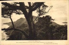 CPA Ile de Port Cros Var Nullee faloine ou normande ne peut rvalier d'elevation et de pittoresque 