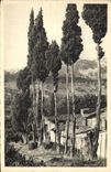 CPA Paysage provencal 