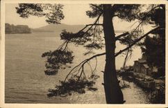 CPA Toulon Var Anse de Magaud 