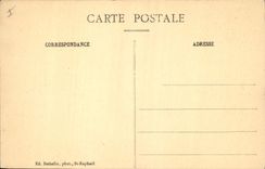 CPA Saint Raphael Var Le Lion de Terre et le Lion de Mer 