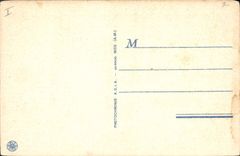 CPA Saint Raphael Var Le Lion de Terre et le Plage 