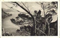 CPA La Corniche d'Or Au Dramont vers Agay 