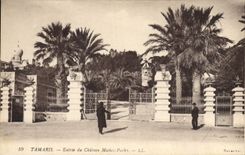 CPA Tamaris Entree du Chateau Michel Pacha 