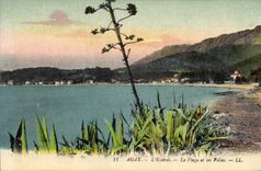 CPA Agay L'Esterel La Plage et les Villas 