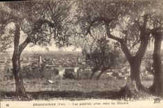 CPA Draguignan Var Vue generale prise entre les Oliviers 