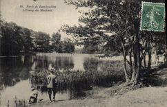 CPA Foret de Rambouillet L'Etang du Moulinet 
