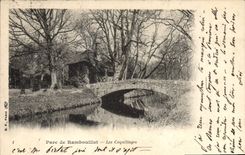 CPA Parc de Rambouillet Les Coquillages 