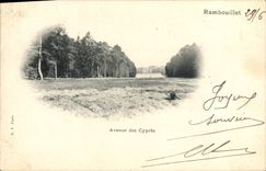 CPA Rambouillet Avenue de Cypres 