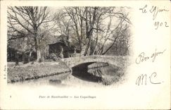 CPA Parc de Rambouillet Les Coquillages 