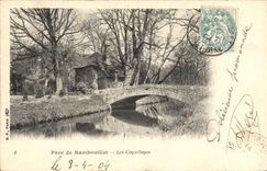 CPA Parc de Rambouillet Les Coquillages 