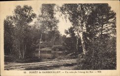 CPA Foret de Rambouillet Un coin de l'Etang du Roi 