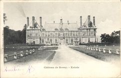 CPA Chateau de Rosny Entree 