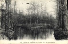 CPA Chateau de Rochefort en Yvelines L'lle aux canards 