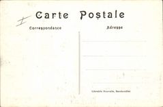 CPA Chateau de Rochefort en Yvelines L'lle aux canards