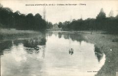 CPA Environs d Orphin S et O Chateau de Sauvage L'Etang 