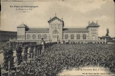 CPA La Vigne et le Vin Ecole de Viticulture Moet & Chandon 