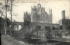 CPA Chateau de Montmort Le Donjon 
