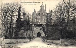 CPA Montmort Le Chateau La Porte d'Entree 