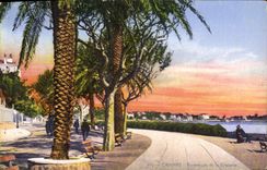 CPA Cannes Promenade de la Croisette 