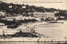 CPA Cannes Perspective de la Promenade des Allies et le Carlton Hotel 