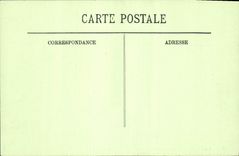 CPA Cannes Palmiers du Grand Hotel de la Californie 