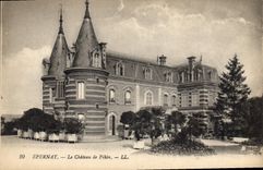 CPA Epernay Le Chateau de Pekin 