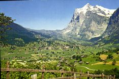 CPM Grindelwald Wetterhorn 