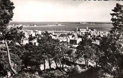 CPA Cannes et les Iles de Lerins 