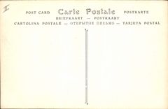 CPA Vichy La Source des Celestins 