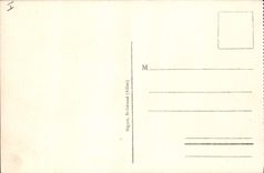 CPA Vichy Source des Celestins 