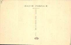 CPA Vichy La Source des Celestins 