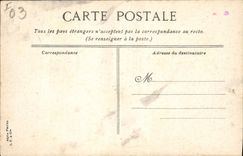 CPA Vichy Le Parc des Celestins 