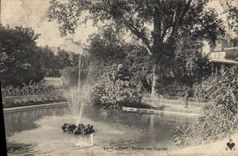 CPA Vichy Basain des Cygnes 