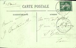 CPA Vichy Le Parc des Celestins 