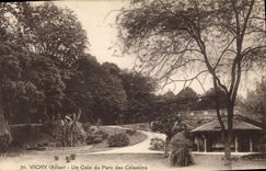 CPA Vichy Allier Un Coin du Parc des Celestins 