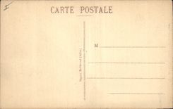 CPA Vichy Sur le Vieux Parc La Grande Allee 