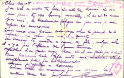 CPA Vichy Dans les nouveaux Parcs 