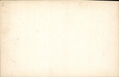 CPA Vichy Le Parc Bassin des Cygnes 