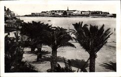 CPA Cote d'Emeraude Dinard La Palmerie dans le lointain St Malo 