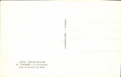 CPA Cote d'Emeraude Dinard La Palmerie dans le lointain St Malo 