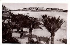 CPA Cote d'Emeraude Dinard La Palmeraie dans le lointain St Malo 