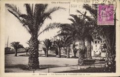 CPA Dinard Les Palmiers de la Promenade Clair de Lune 