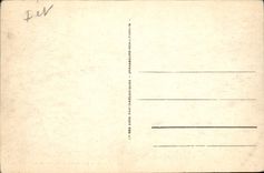 CPA Dinard La Promenade des Allies et la Pointe du Moulinet 